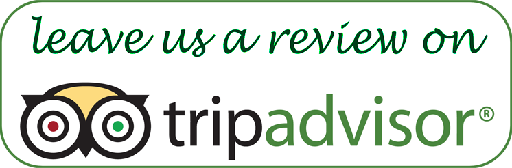 mercury residency in tripadvisor